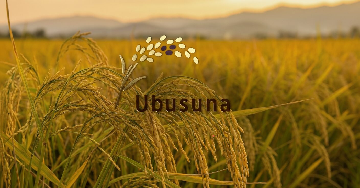 Ubusuna Hero Background